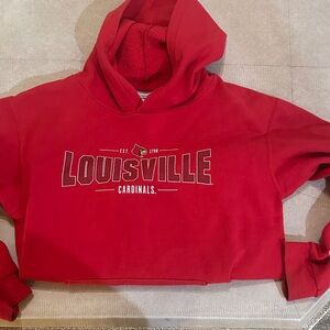 Champion Eco Authentic Scarlet Sweatshirt